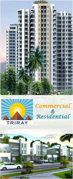 Triray Infra Projects